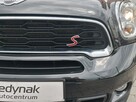 Mini Paceman - 6