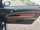 Mini Paceman - 15