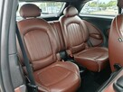 Mini Paceman - 16