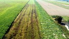 Miłków Kolonia. Piękna działka budowlana! - 1