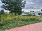 Sprzedam działkę budowlaną w Serocku - 10
