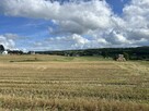 Działka siedliskowa 3 003 m² z prawem zabudowy (Sopieszyno)