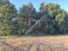 Atrakcyjna działka przy lesie – dobra cena! - 3