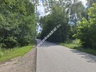 Atrakcyjna działka przy lesie – dobra cena! - 4