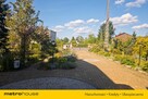 Dom z gotowym biznesem-plantacja borówki - 3