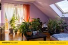 Dom z gotowym biznesem-plantacja borówki - 14