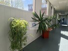 Lokal użytkowy Warszawa Mokotów, Siekierki, Siekierkowska - 5