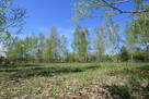 Działka Miłoszyce - 3
