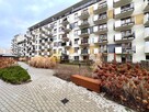 Wynajmę mieszkanie koło Promenady (3 pokoje) - 11