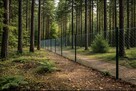 Leśna działka pod dom całoroczny. MPZP, woda i prąd przy działce - 2