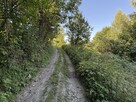 Działka Budowlana Tylmanowa - 12