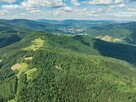 Las w Krościenku nad Dunajcem - 7