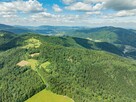 Las w Krościenku nad Dunajcem - 8