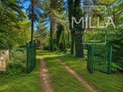 Leśne siedlisko z domkiem | 2361m2 | Gmina Zgierz - 2