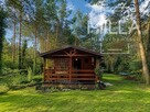 Leśne siedlisko z domkiem | 2361m2 | Gmina Zgierz - 4