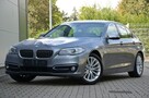BMW 528 Super Stan 2.0i 184KM Luxury Lift Serwis Bi-xenon Navi Komforty Vat23% - 2