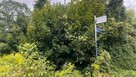 Teren inwestycyjny 3 423 m² (kompleks 4 działek) - 1