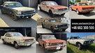 FORD MUSTANG COUPE 1969 F-CODE 302 V8 #943 - 5