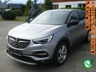 Opel Grandland X Serwis ASO.Stan idealny.