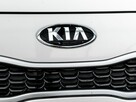 Kia Rio HB 1.2 Business Line 84KM/Manual Salon Polska - 11