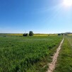 Działka Nad Morzem- OKAZJA -19 zł/m2
