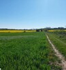 Działka Nad Morzem- MEGA OKAZJA -17 zł/m2 - 2