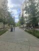 Kawalerka w Centrum przy Nowym Świecie ul.Chmielna - 10