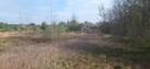 Twoje miejsce na dom wśród zieleni – Koźla, 2400 m² - 5