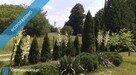 Sprzedam Dom całoroczny - 7