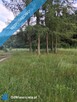 Działka budowlana, przy lesie, na sprzedaż, 800m2, 12 km od Kielc, 3km od Daleszyc - 4