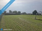 Jedlec - sprzedam działkę - 2