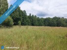 Działka 2,82 ha na sprzedaż – Wiluki - 3