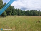 Działka 2,82 ha na sprzedaż – Wiluki - 4