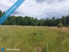 Działka 2,82 ha na sprzedaż – Wiluki - 5