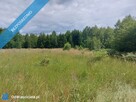 Działka 2,82 ha na sprzedaż – Wiluki - 6