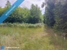 Działka 2,82 ha na sprzedaż – Wiluki - 7