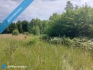 Działka 2,82 ha na sprzedaż – Wiluki - 8