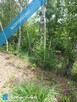 Działka 2,82 ha na sprzedaż – Wiluki - 9