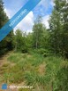Działka 2,82 ha na sprzedaż – Wiluki - 11