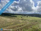 Działka siedliskowa 3 003 m² z prawem zabudowy (Sopieszyno) - 3