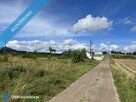 Działka siedliskowa 3 003 m² z prawem zabudowy (Sopieszyno) - 4