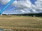 Działka siedliskowa 3 003 m² z prawem zabudowy (Sopieszyno) - 6