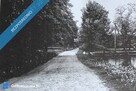 Dwór Józefa Świderskiego (1926 r.) – Działka 8000m² | Usługi i Mieszkalnictwo - 7