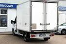 Renault Master Kamera SalonPL FV23% Chłodnia/Mroźnia -20°C Zanotti 230V 145KM - 4
