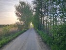 Sprzedam dom z sadem nad Wisłą z działką 57 ar - 8