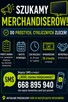 Merchandiser Dolnośląskie