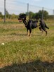 Młoda uśmiechnięta delikatna dziewczynka czeka na dom - 14