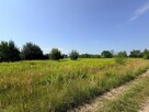 Działka 1000 m² w Raszynie - 5
