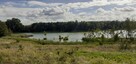 Działka rekreacyjna nad jeziorem, 706m2, prąd, woda, Chodecz - 6