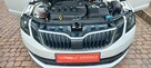 Škoda Octavia DSG Ledy Climatronic Dwustrefowy FV23% 333.2 Netto Salon Polska - 10